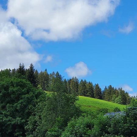 Ferienwohnung Hitz Hinterzarten Esterno foto