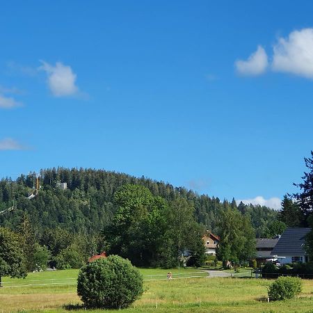 Ferienwohnung Hitz Hinterzarten Esterno foto
