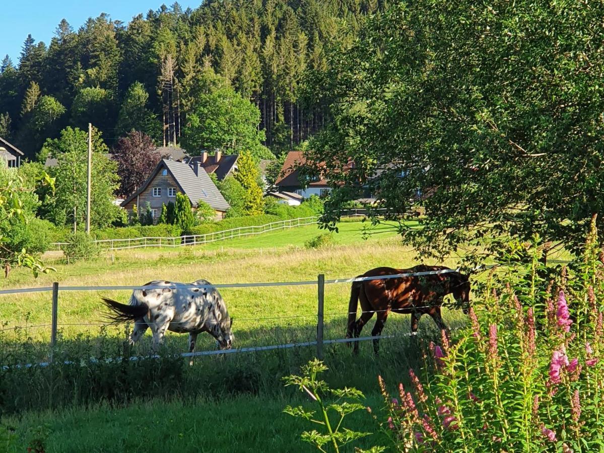 Ferienwohnung Hitz Hinterzarten Esterno foto