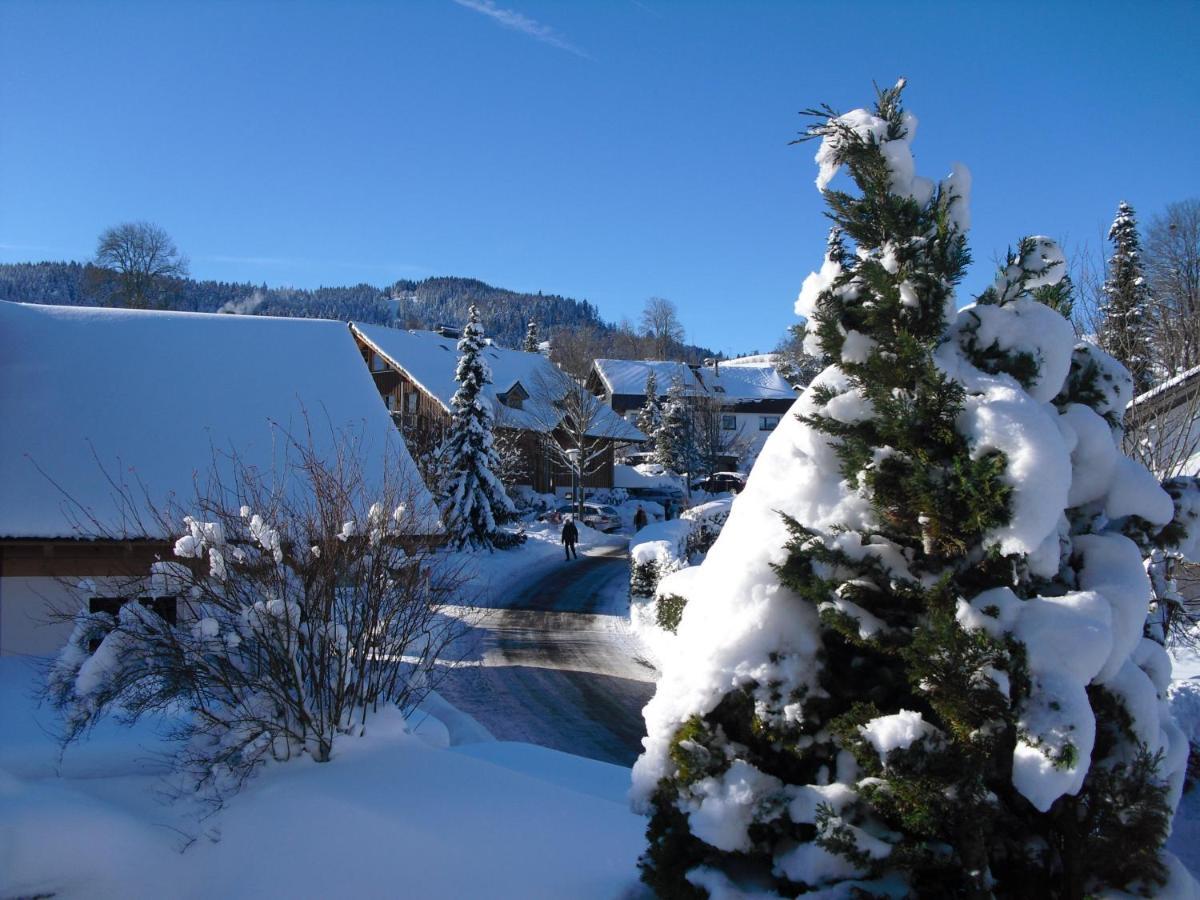 Ferienwohnung Hitz Hinterzarten Esterno foto